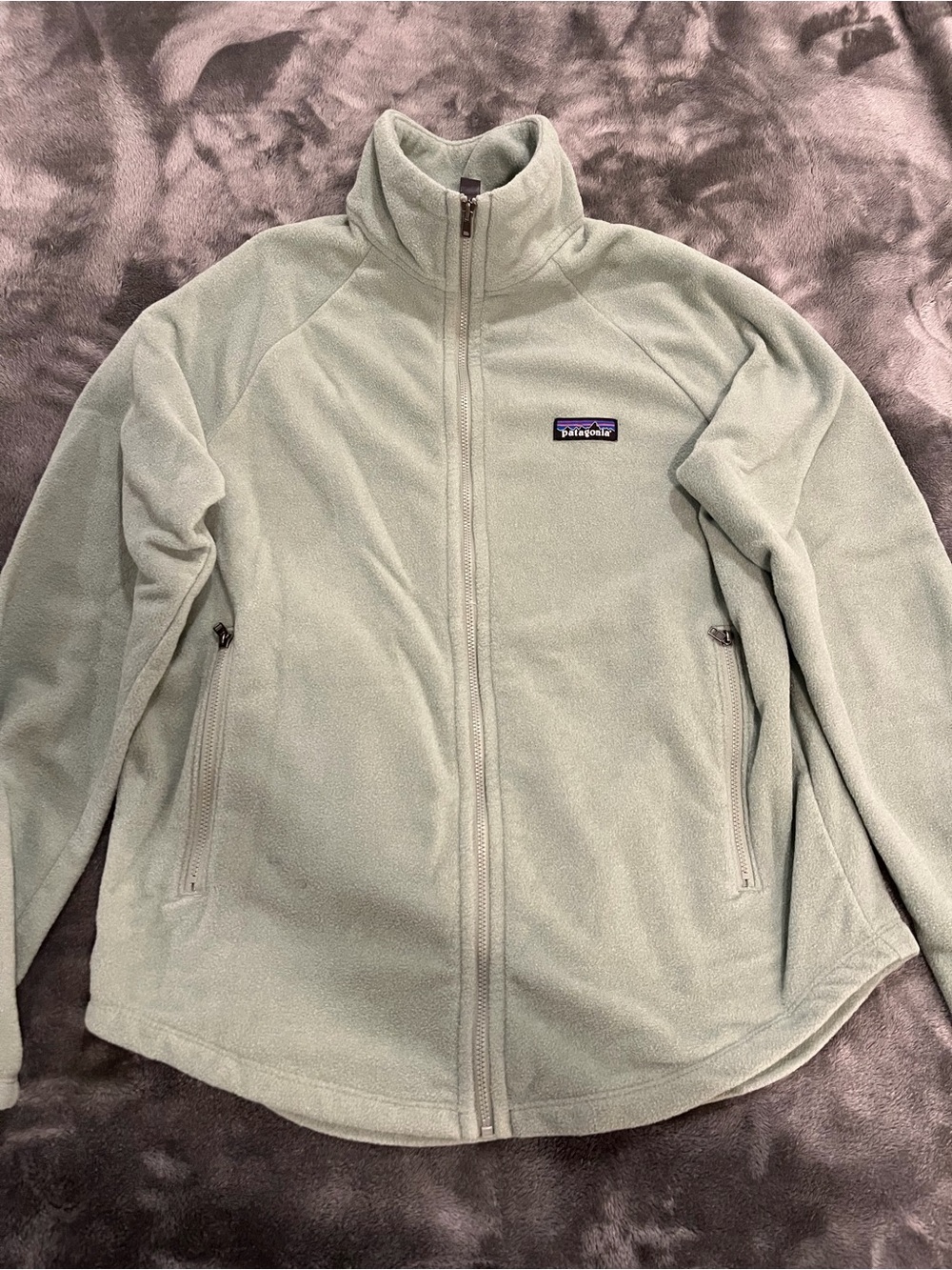 Patagonia Light Green Full-Zip Fleece Jacket